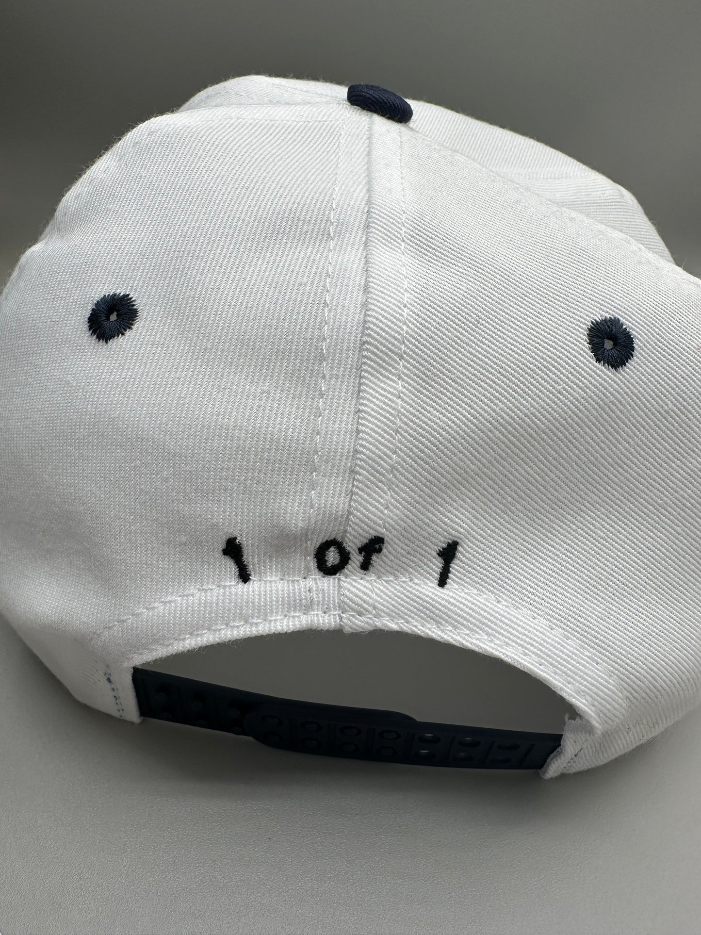 Vintage Grateful State X Dancing Tiger Snapback Hat (1 of 1)